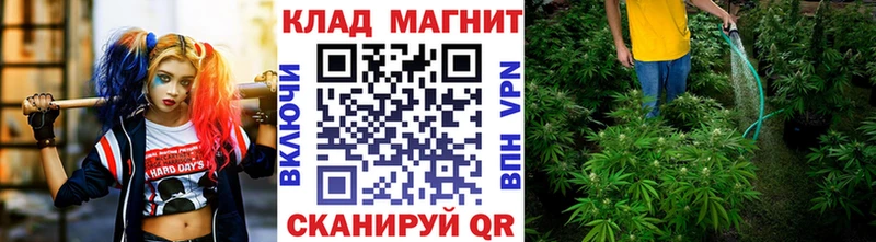 Где купить Липки Амфетамин  Канабис  СОЛЬ  МЕТАМФЕТАМИН  ГАШИШ  кракен ССЫЛКА  Меф 