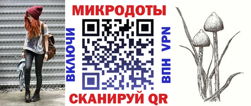 закладка  Липки  Галлюциногенные грибы Cubensis 